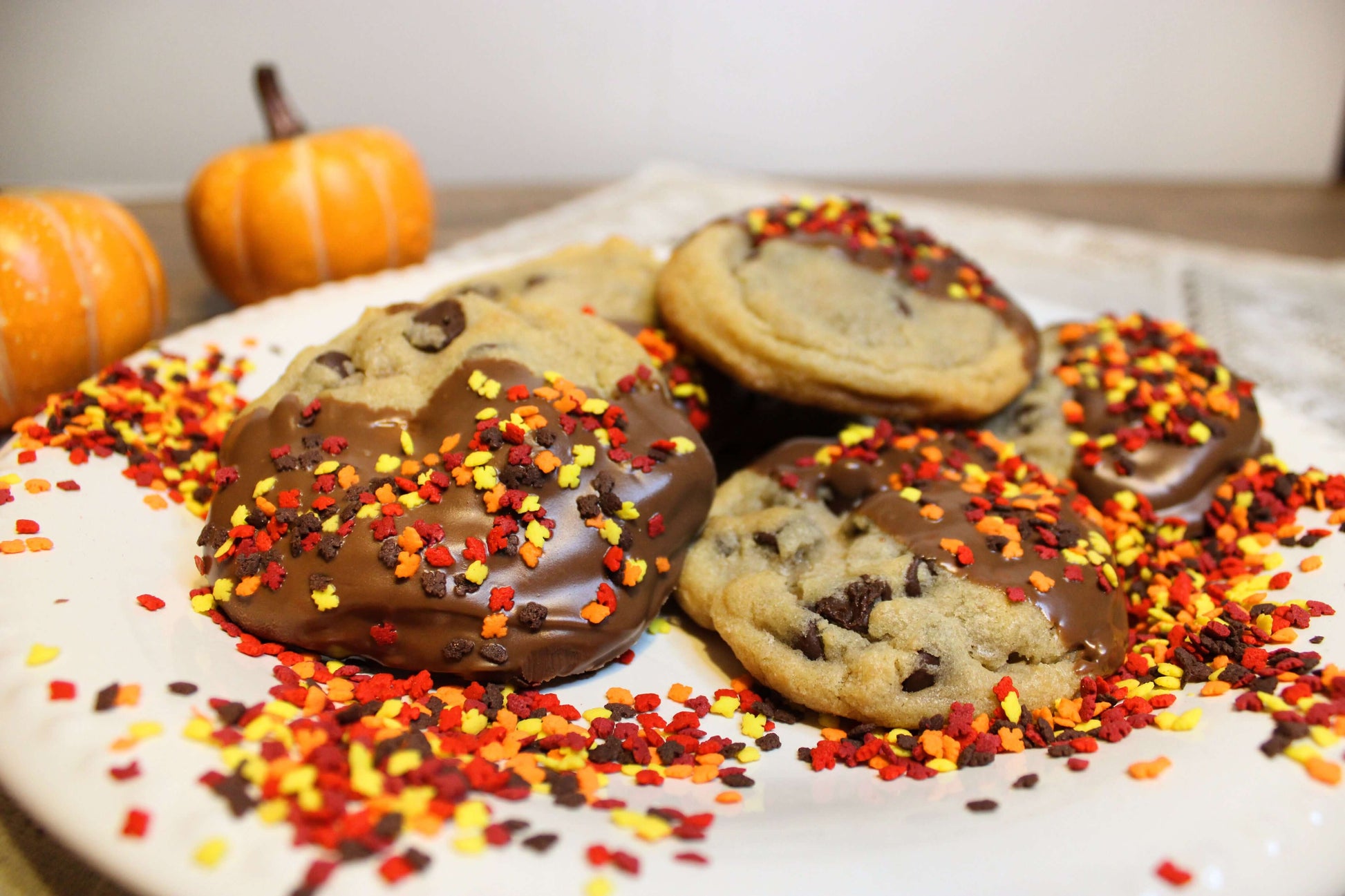 Chocolate Chip Cookies Dipped in Chocolate